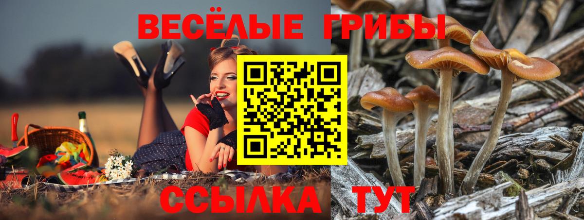Псилоцибиновые грибы ЛСД  Вход с VPN  Бутурлиновка 