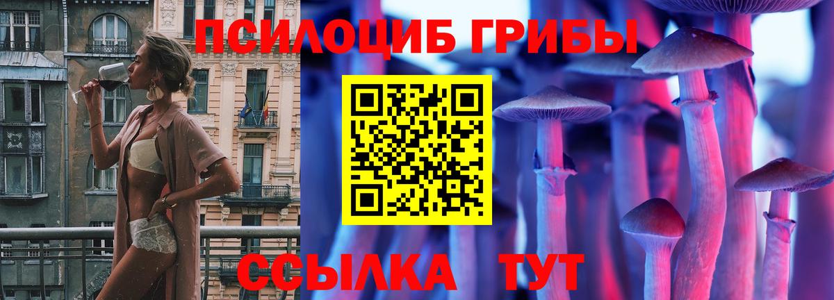 Псилоцибиновые грибы GOLDEN TEACHER Бутурлиновка